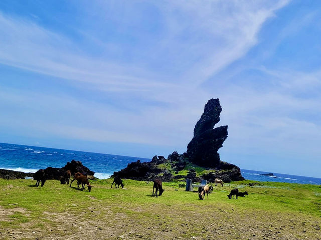 感受離島之美～蘭嶼看海賞岩石