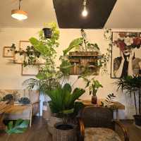 🌿✨ Nengfoto Cafe & Tree | คาเฟ่ลับกลางสวนในท่าบ่อ