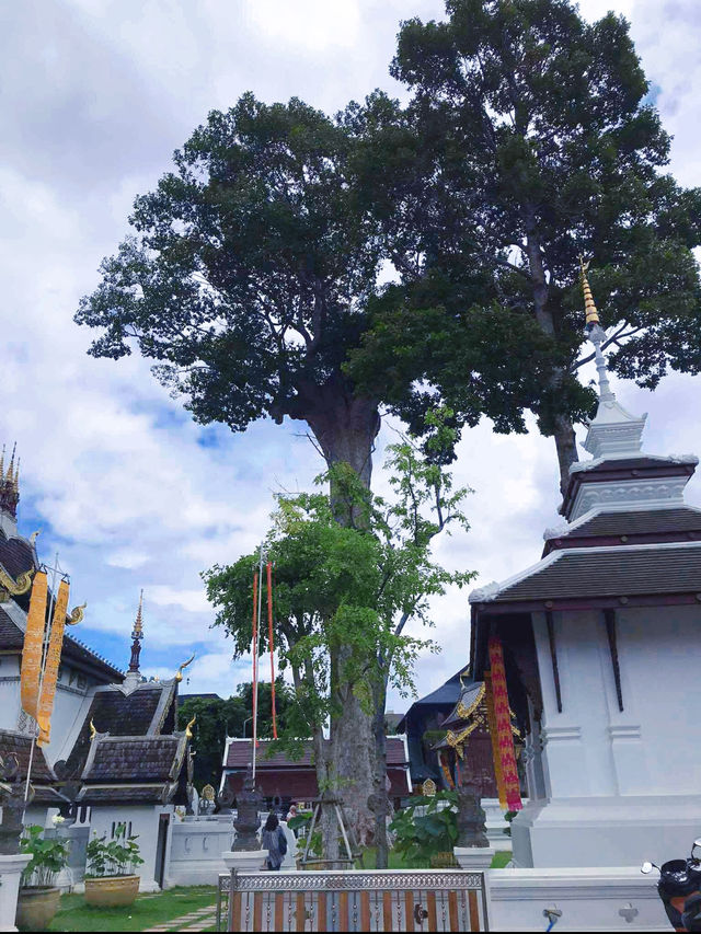 วัดเจดีย์หลวงวรวิหาร (Wat Chedi Luang Worawihan)