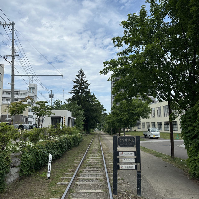札幌小樽4日間| 女一人旅