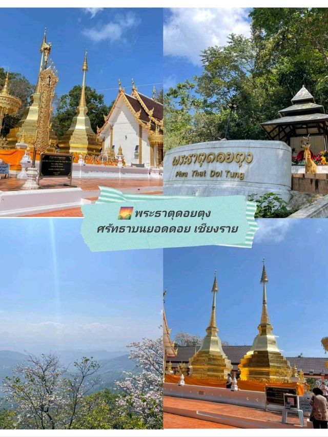 🌄 พระธาตุดอยตุง | ศรัทธาบนยอดดอย