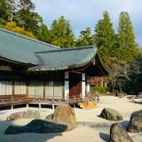 龍安寺 — 枯山水之美