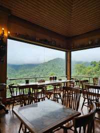 First Valley Coffee Estate | Chiangmai 