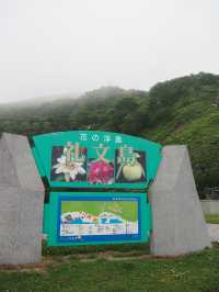 日本最北端　花の浮島礼文島🌼