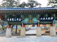 Hidden Peace on the Hillside: Beomeosa Temple, Busan