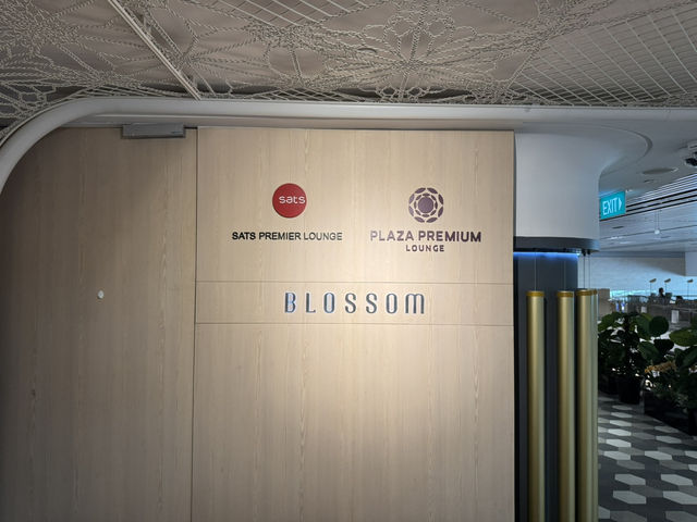 🛫 A Relaxing Pre-Flight Oasis – Blossom Lounge at Changi T4
