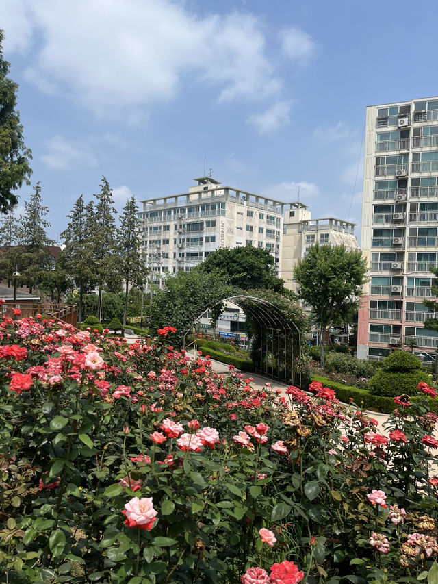부천 여름 야외 데이트는 바로 여기🌸