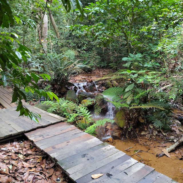 🍃Post-Hike Treat at Hill & Heal Café – A Hidden Gem in Kluang!🌿