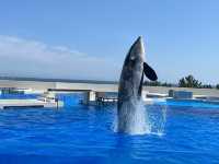 神戸市立須磨海浜水族園 Kobe Suma Seaworld