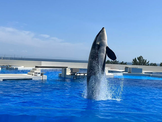 神戸市立須磨海浜水族園 Kobe Suma Seaworld