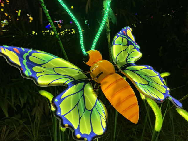 🐝 Galaxy World Meets Nature Vibes
