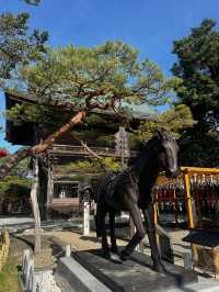 岩沼市に鎮座する 竹駒神社へ行くべき理由を5つご紹介します✨