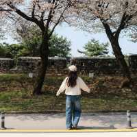 Namsan Seoul Tower 🗼🌆