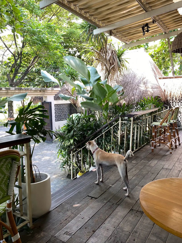Brunch, Bark & Balance on Good Soil’s Signature Bali