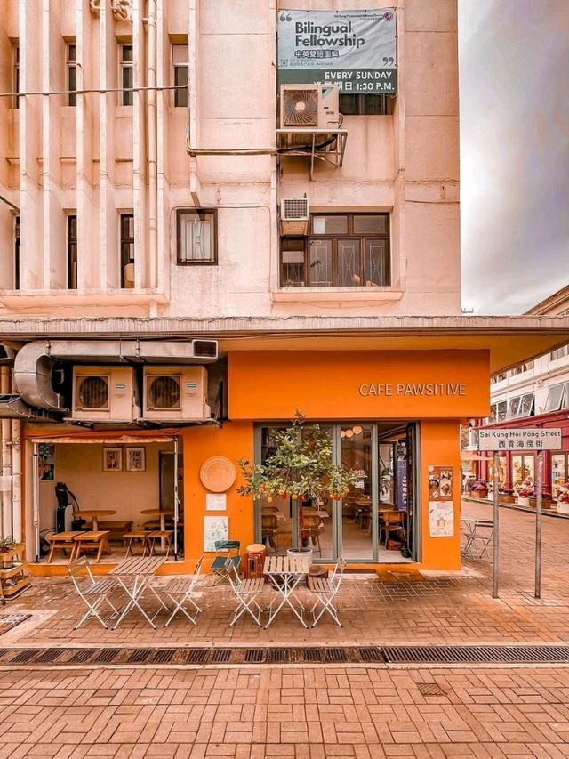 Cafe Pawsitive Hong Kong