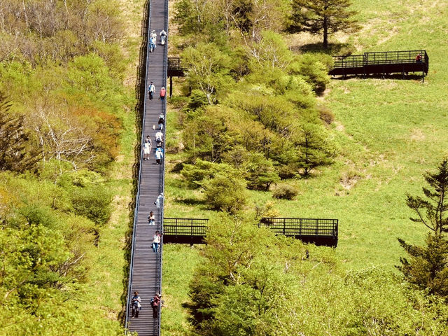 Kisuge-daira Park (キスゲ平公園) – A Hidden Highland Paradise in Nagano** 🌸🏞️  