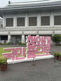 청와대는 이제못가겟지만 ㅠㅠㅠㅠㅠ