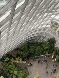 🌿 Cloud Forest — Singapore’s Climate-Controlled Paradise