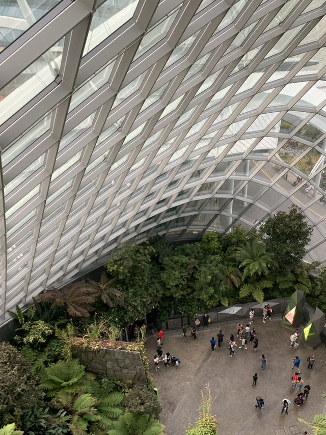 🌿 Cloud Forest — Singapore’s Climate-Controlled Paradise