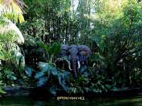 Jungle River Cruise