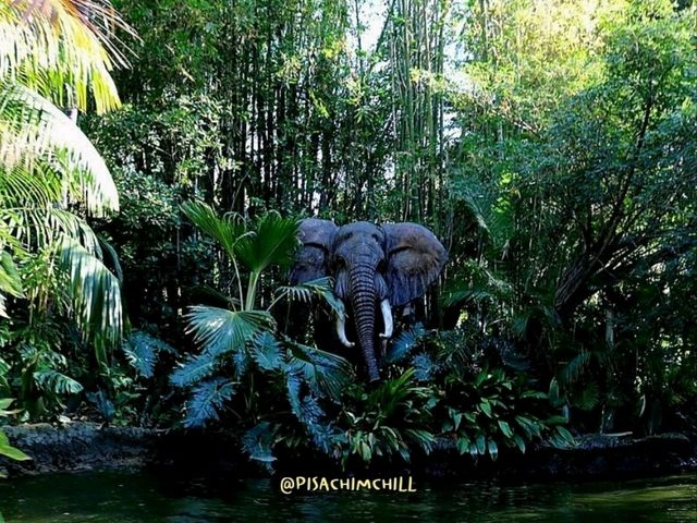 Jungle River Cruise