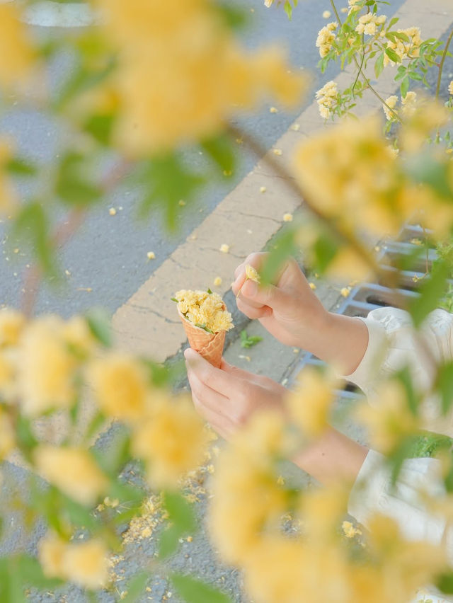 피드로도 기록해보는 창원의 노란빛 순간들💛