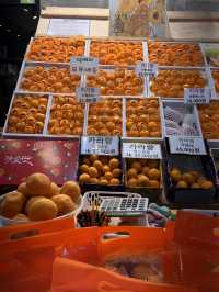 Jeju Island Trip