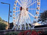 City Outing with Family