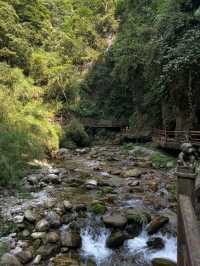 Emeishan Is a Workout and a Spiritual Reset All in One