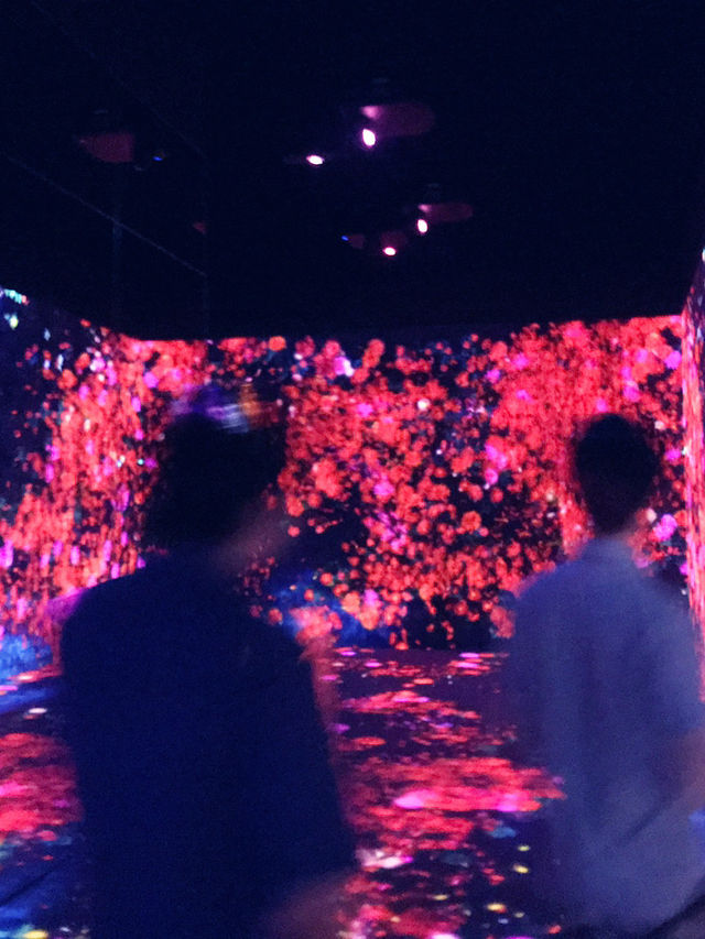 🌊✨【まるで夢の中】チームラボプラネッツ東京 DMM