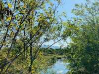 🌿🦆 *Ansim Wetland Ecological Park (안심습지생태공원): Daegu’s Hidden Nature Sanctuary* 🚶‍♀️📸