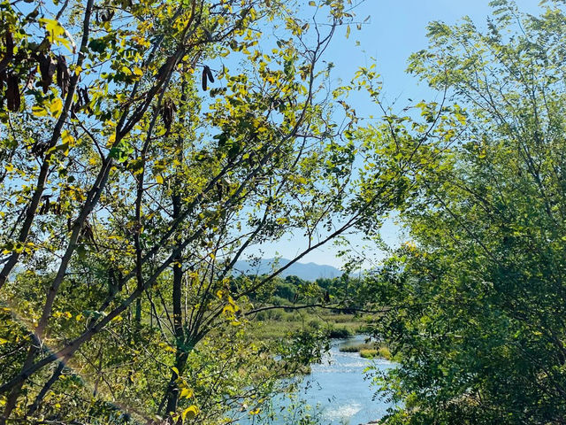 🌿🦆 *Ansim Wetland Ecological Park (안심습지생태공원): Daegu’s Hidden Nature Sanctuary* 🚶‍♀️📸