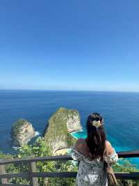 Day trip to Nusa Penida: Breathtaking Views, Zero Regrets