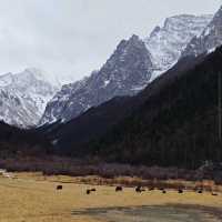 Yading Nature Reserve (Sichuan)
