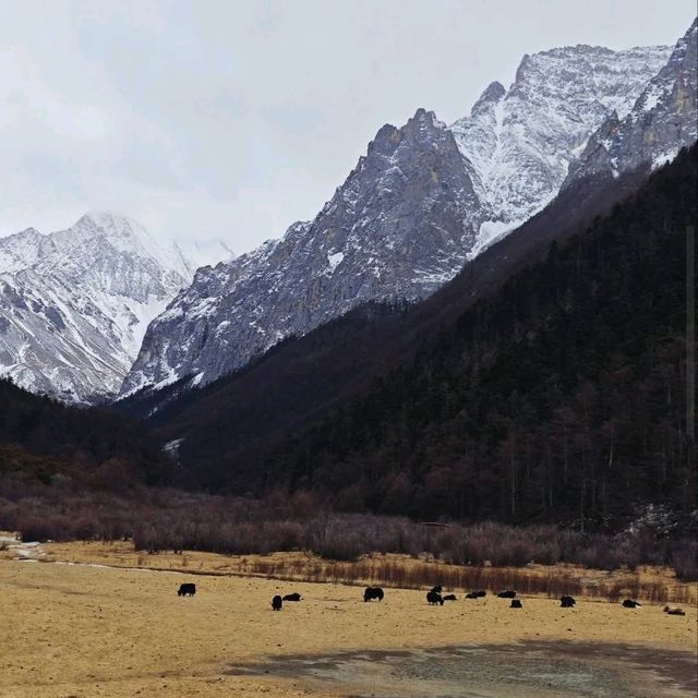 Yading Nature Reserve (Sichuan)