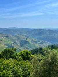 Douro Valley, Portugal: A River of Wine, Terraces, and Timeless Beauty 🌄