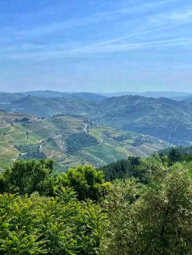 Douro Valley, Portugal: A River of Wine, Terraces, and Timeless Beauty 🌄