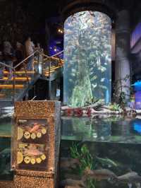 River to Reef Wonders at Aquaria KLCC
