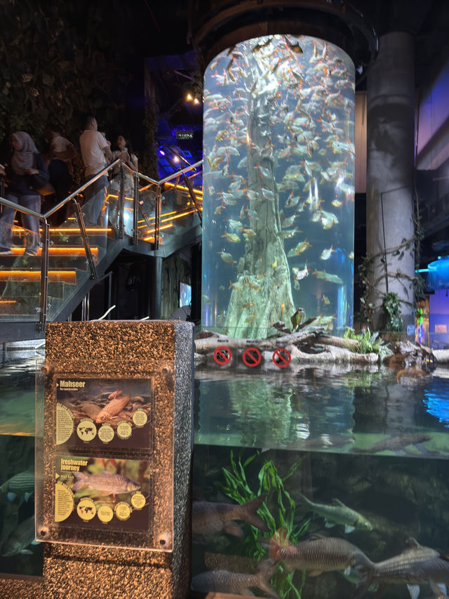 River to Reef Wonders at Aquaria KLCC