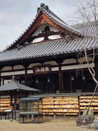 🏯 나라현 – 아베몬주인