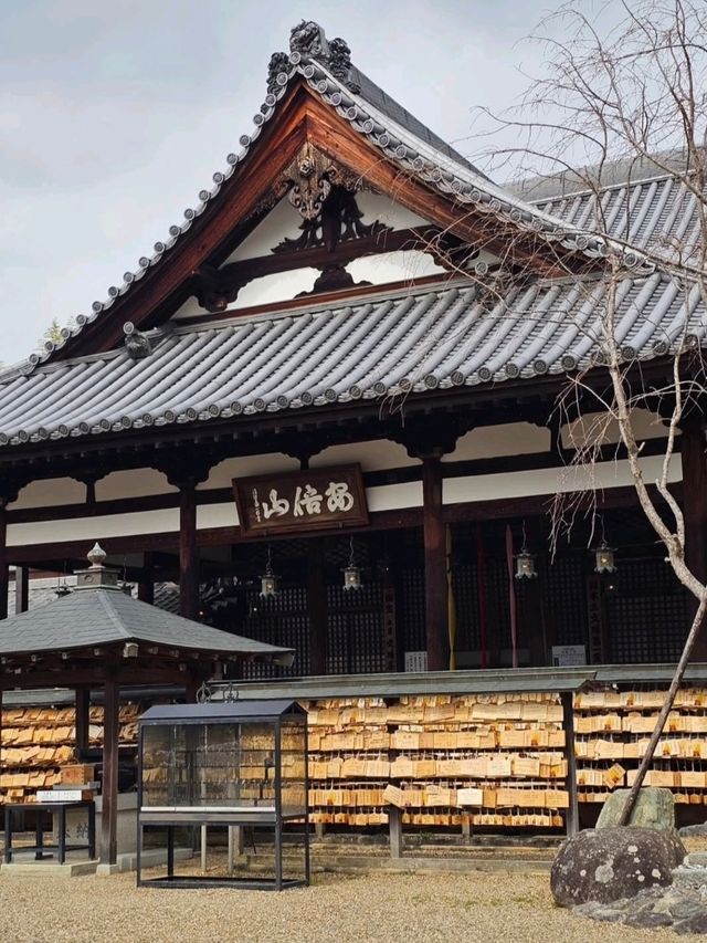 🏯 나라현 – 아베몬주인