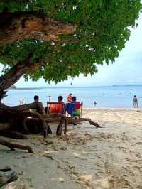 กิจกรรมบนเกาะ