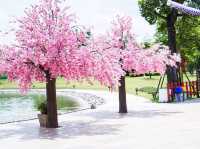 🌸🇯🇵 Hinoki Land เชียงใหม่ 🌸🇯🇵