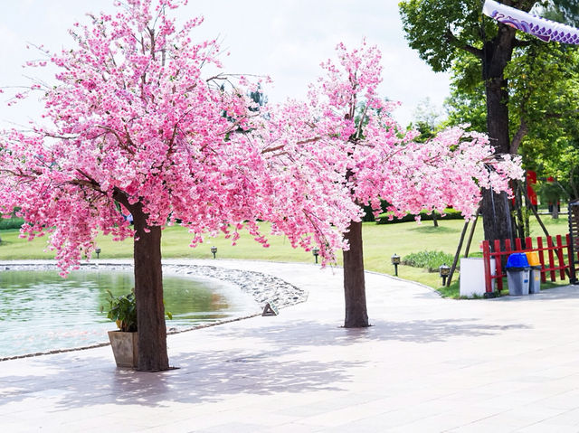 🌸🇯🇵 Hinoki Land เชียงใหม่ 🌸🇯🇵