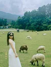 You should visit here to take a fresh air after working for long hours in the city 🍀