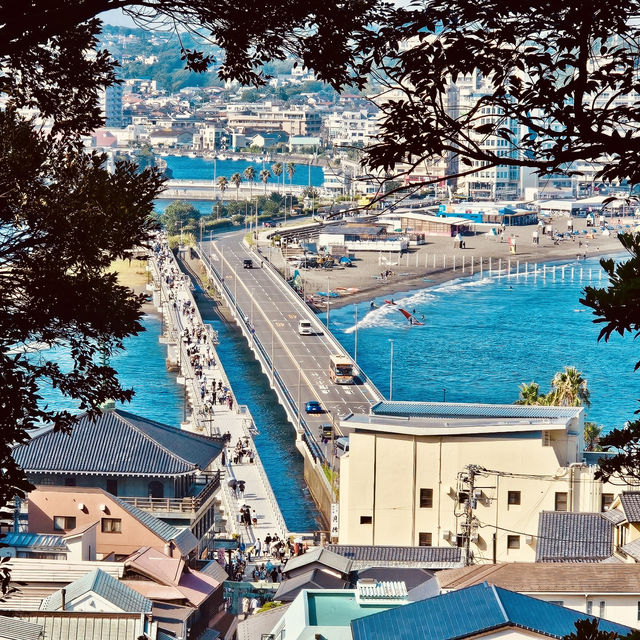 Discovering Enoshima’s Charm Discovering Enoshima’s Charm