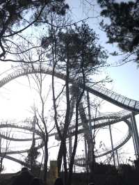 🚀 포항 명물 스페이스워크,  바다 위를 걷는 짜릿한 경험! 스릴 넘치는 포항 여행 코스