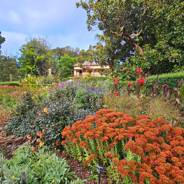 Nature’s Masterpiece at the Royal Botanic Gardens Victoria