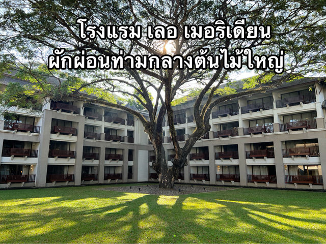 🌳โรงแรม เลอ เมอริเดียน พักผ่อนริมแม่น้ำกก