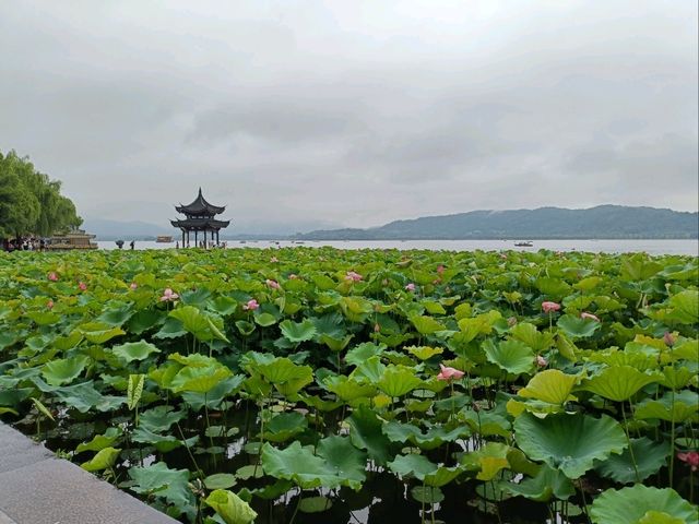 Unveiling Hangzhou in 7-days journey
